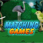 Birds Matching Games