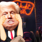 Donald Trump  Brawl
