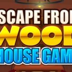 Escape From Wood House Game