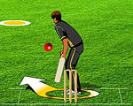 Fantacy Cricket