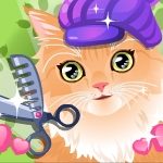 Kitty Groomer