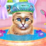 Kitty Spa and Feeding