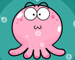 Meet the Octo