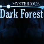 Mysterious Dark Forest