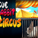 Rescue Rabbit From Circus