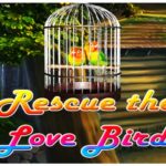 Rescue the Love Birds