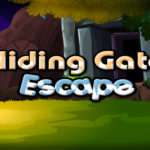 Sliding Gate Escape