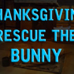 Thanksgiving Rescue The Bunny