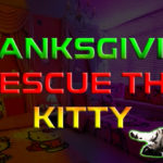 Thanksgiving Rescue The Kitty
