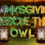 Thanksgiving Rescue The Owl