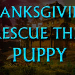 Thanksgiving Rescue The Puppy