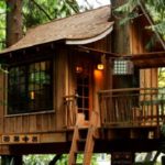 Treasure Tree House Escape