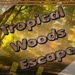 Tropical Woods Escape