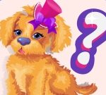 Wiz Dog Quiz