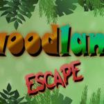 Woodland Escape