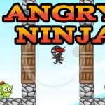 Angry Ninja