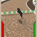 Dog Racing Simulator