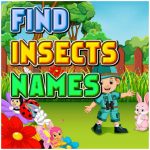 Find Insects Names