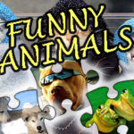 Jigsaw Puzzle Funny Animals