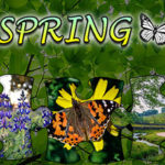 Jigsaw Puzzle: Spring