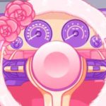 Princess Driver Quiz