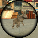 Rabbit Shooter