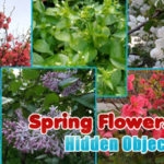 Spring Flowers: Hidden Objects