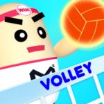 Volley Beans 3D